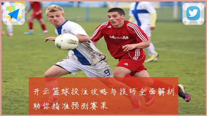 开云篮球投注攻略与技巧全面解析助你精准预测赛果