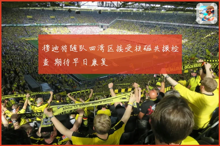 穆迪将随队回湾区接受核磁共振检查 期待早日康复