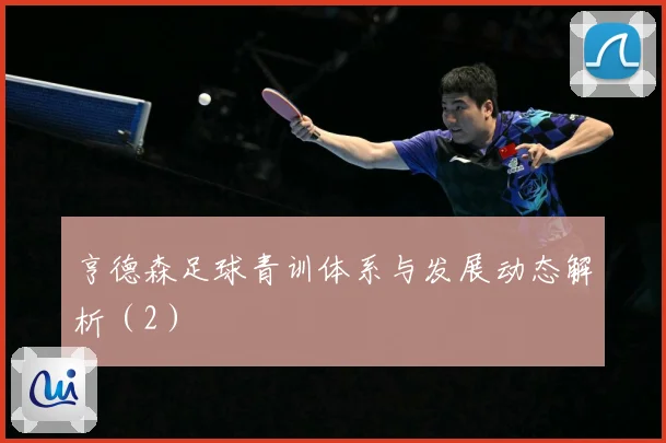 亨德森足球青训体系与发展动态解析（2）