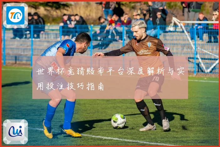 世界杯竞猜赔率平台深度解析与实用投注技巧指南