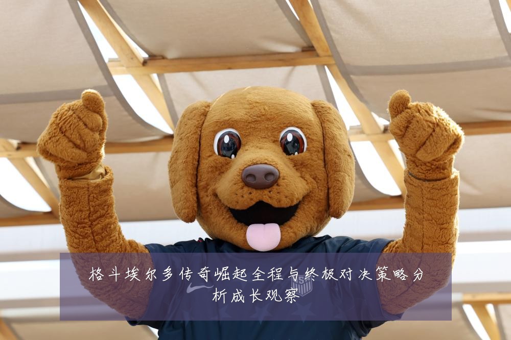 格斗埃尔多传奇崛起全程与终极对决策略分析成长观察