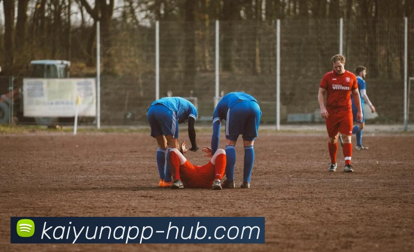 开云平台展示图